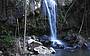 Curtis Falls Mt Tamborine