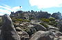 Mount Wellington (2hr) Morning Tour