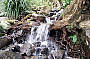 Russell River Full Day Sports Rafting Ex Cairns (Season starts 01 Jan 2013)
