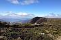 Mount Wellington (2hr) Morning Tour